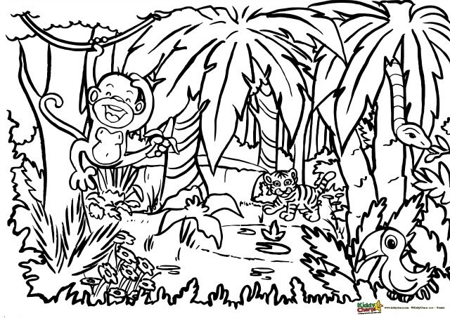 Jungle coloring for adults and kids