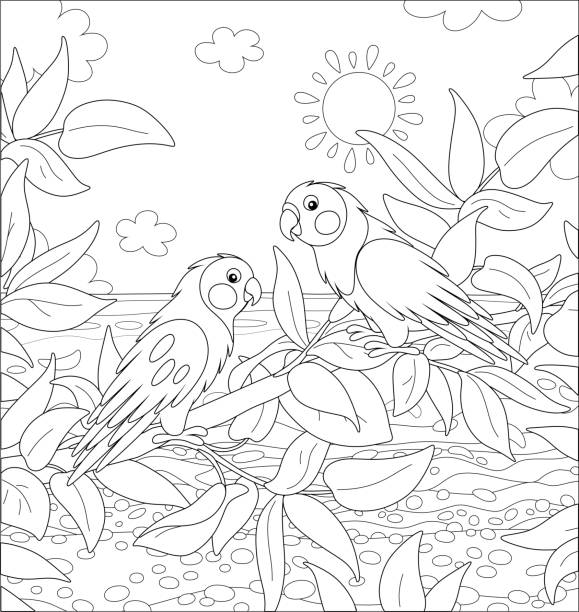 Jungle coloring pages stock illustrations royalty