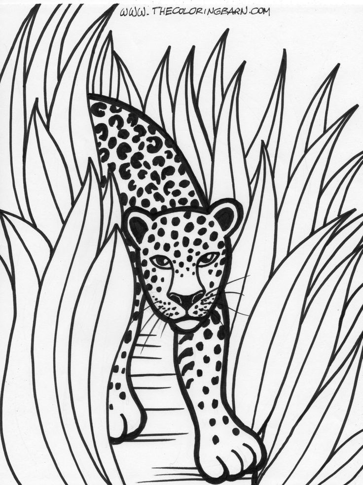 Rainforest printable coloring pages the coloring barn printable dinosaur coloring pages jungle coloring pages animal coloring pages