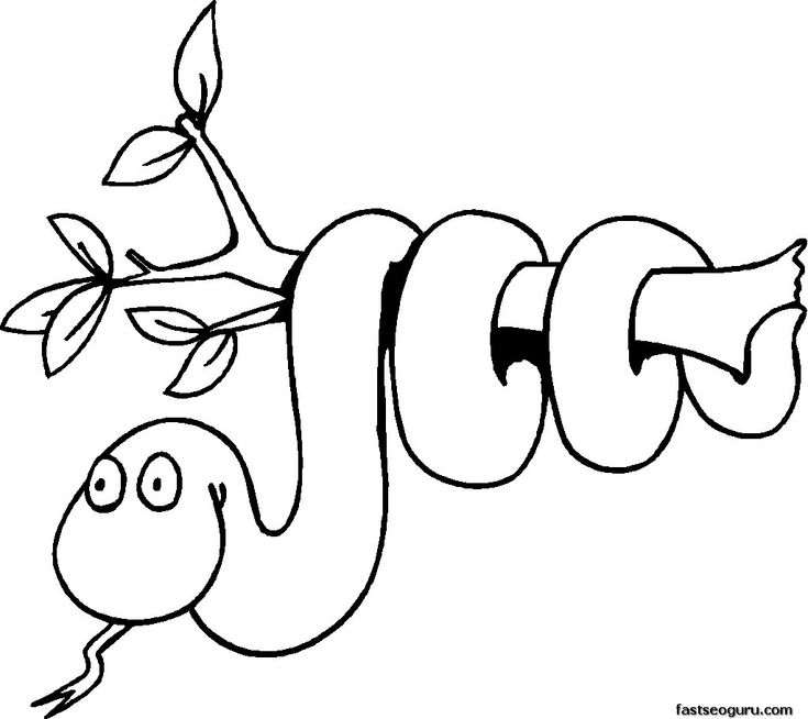 Free print out coloring pages of jungle snake on branch coloring pages kids printable coloring pages animal coloring pages