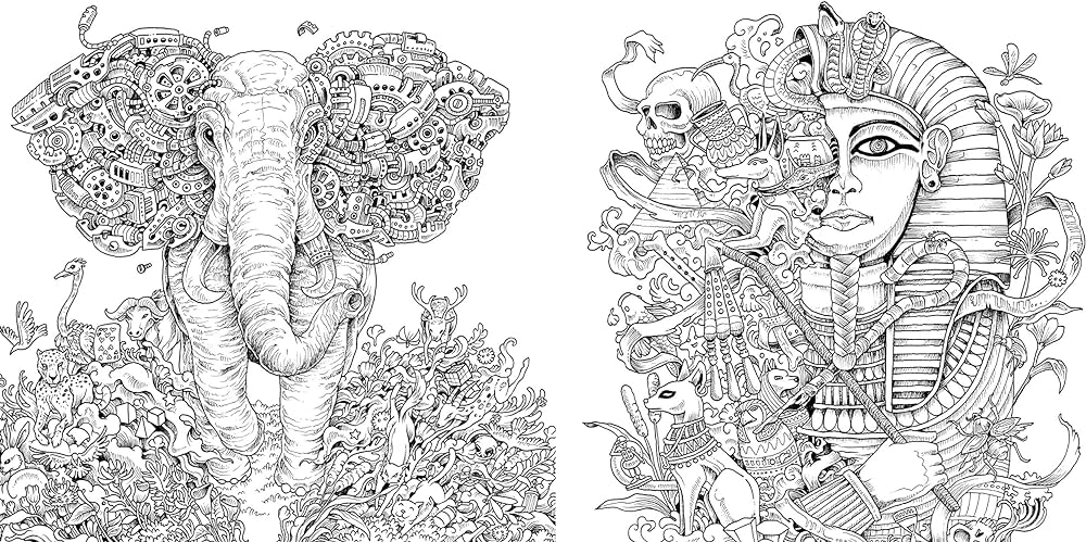 Imagimorphia an extreme colourg and search challenge kerby rosanes extreme colourg rosanes kerby books