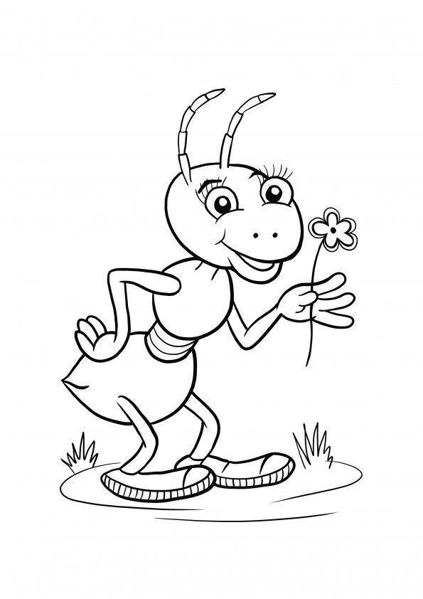 Coloring pages