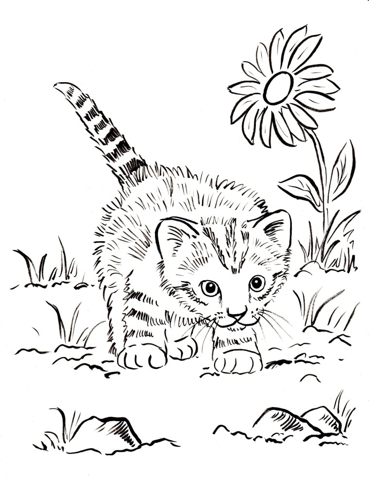 Kitten coloring page