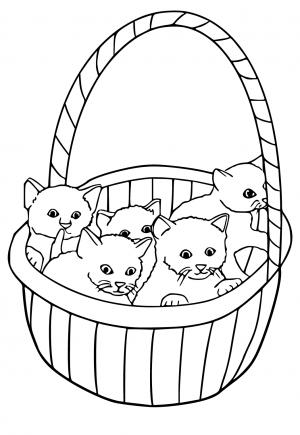 Free printable kitten coloring pages for adults and kids