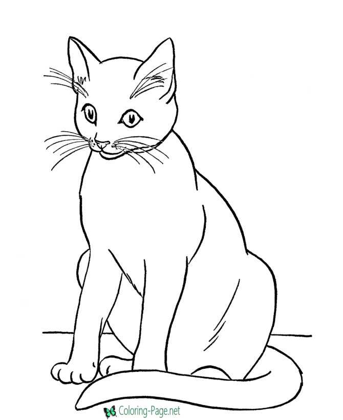 Cat coloring pages