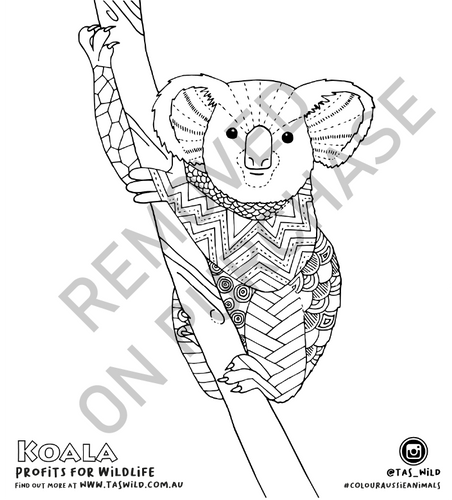 Koala colouring page