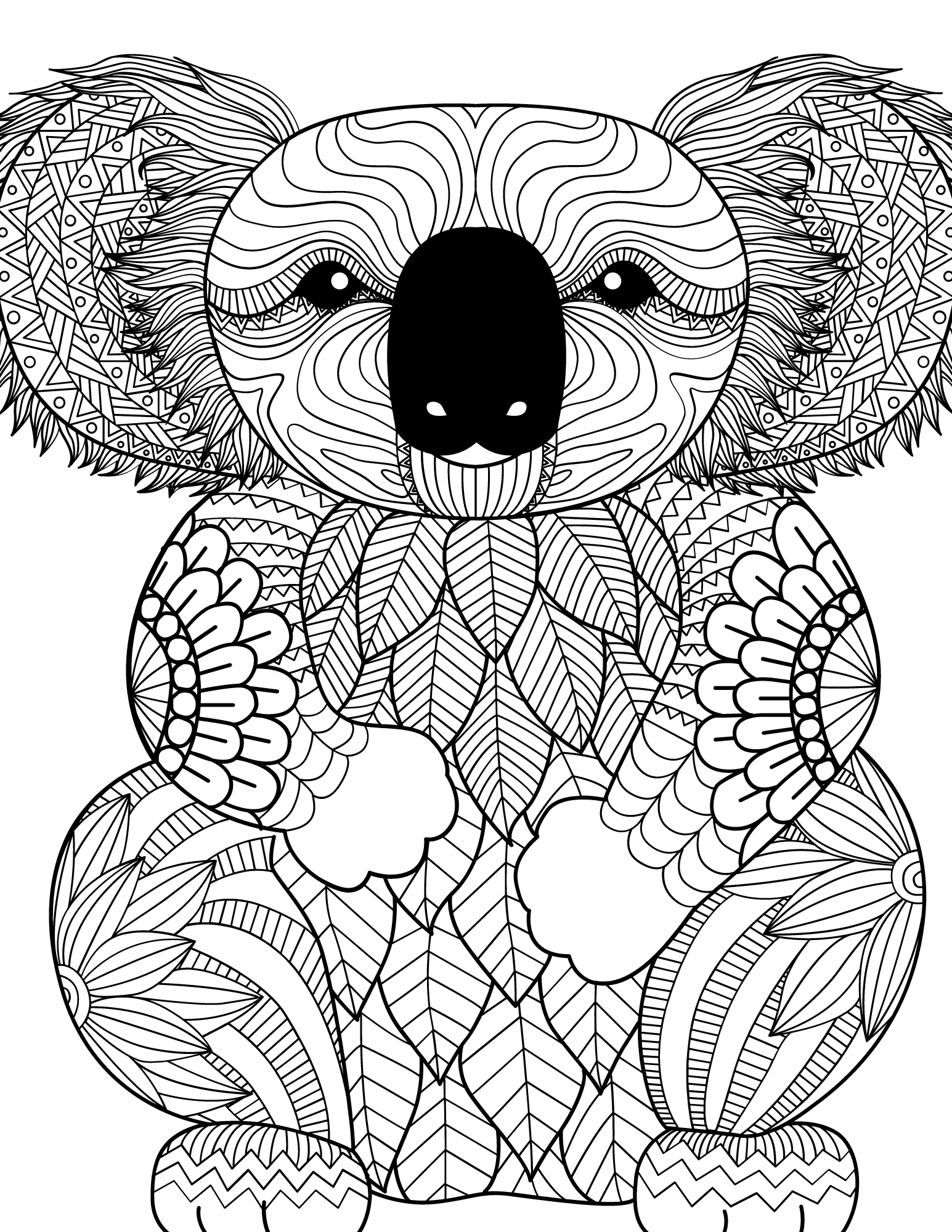 Cute koala coloring pages and fun koala facts