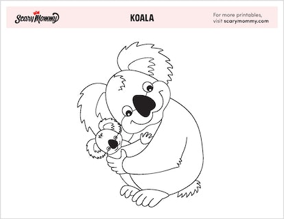 Koala coloring pages thatll make you want to travel down under