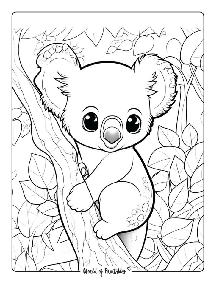 Koala coloring pages free kids coloring pages koala drawing cat coloring page