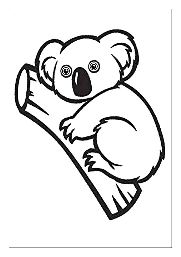 Koala coloring pages printable coloring sheets