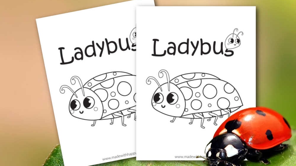 Ladybug coloring page