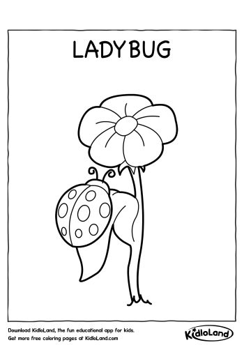 Download free ladybug coloring page and educational activity worksheets for kids