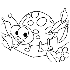 Ladybug coloring pages