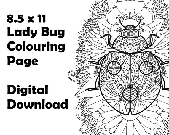 Geometric ladybug coloring page x printable flower leaf background instant digital download personal use only