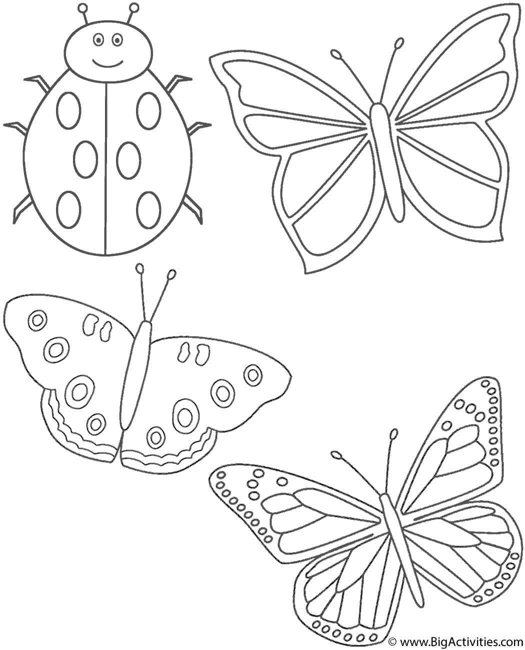 Three butterflies and ladybug