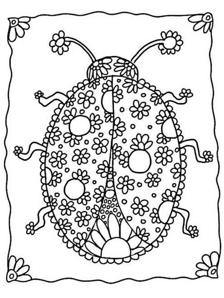 Ladybug coloring pages for adults