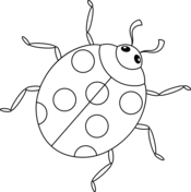 Ladybug coloring pages free coloring pages