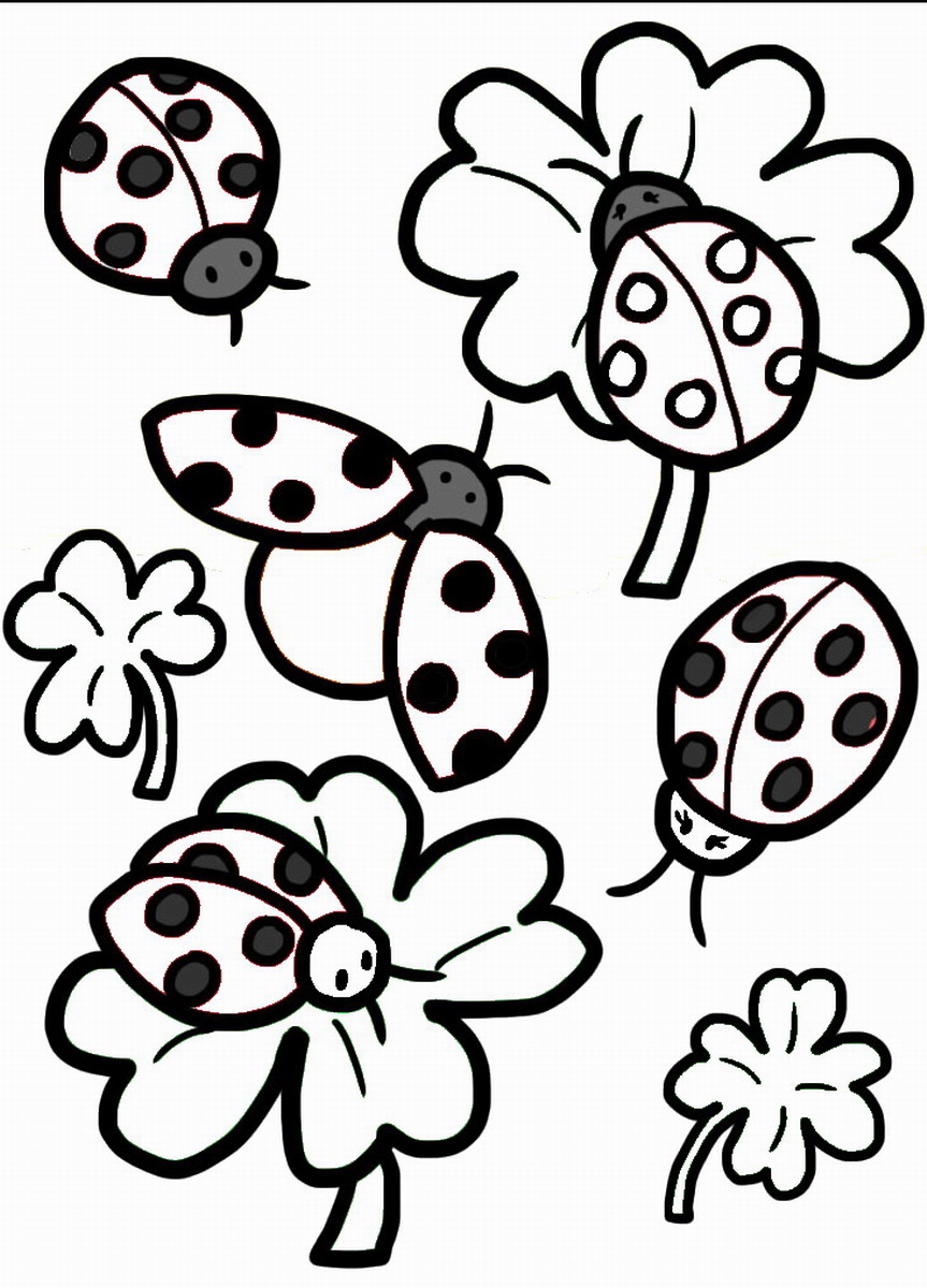 Ladybug coloring pages â birthday printable