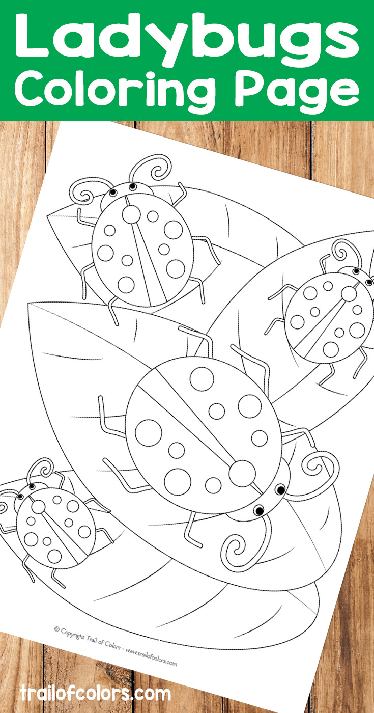 Ladybugs coloring page