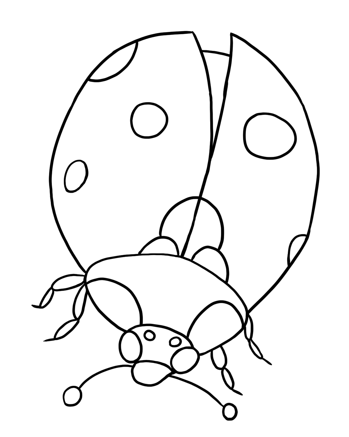 Free ladybug coloring pages to print out and color