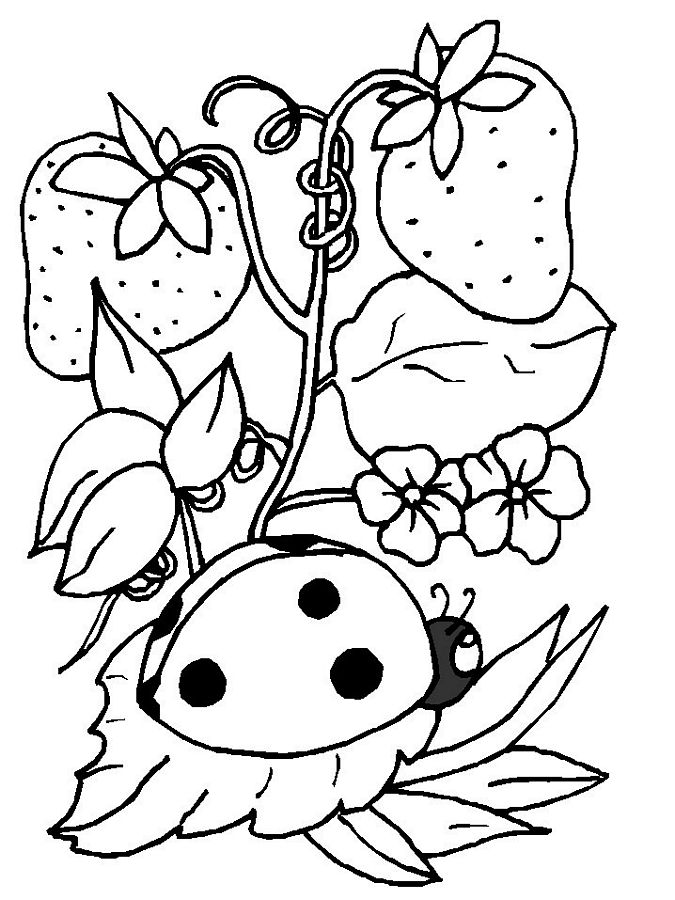 Free printable ladybug coloring pages for kids