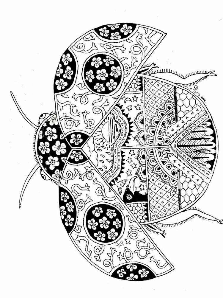 Ladybug coloring pages for adults