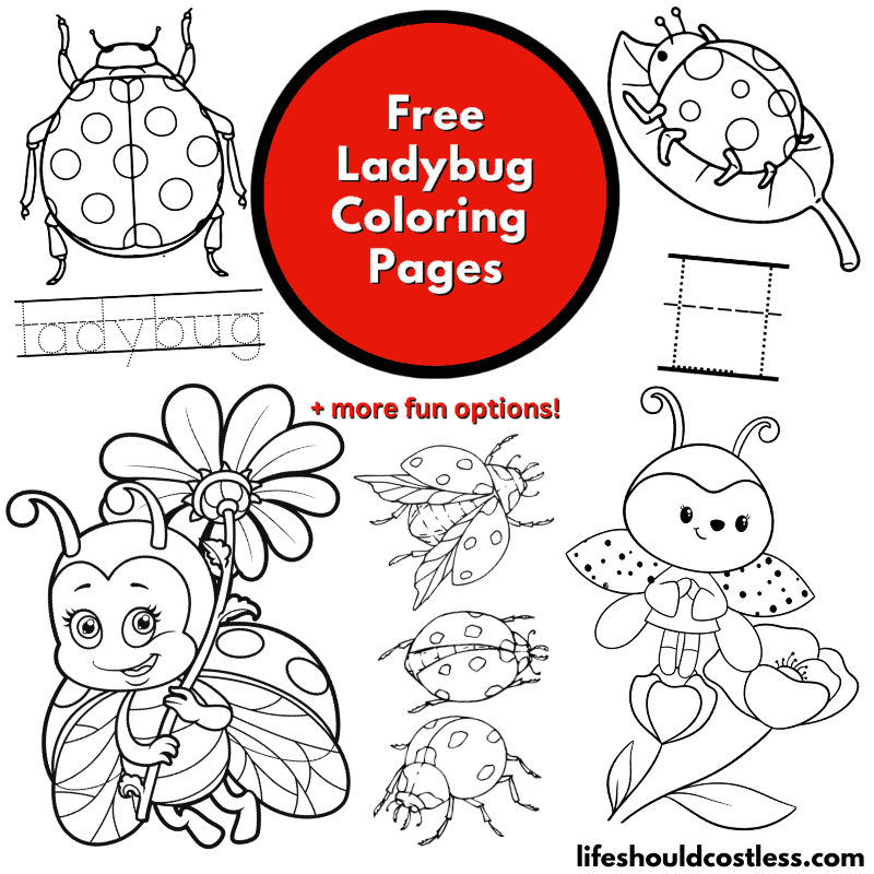 Ladybug coloring pages free printable pdf templates