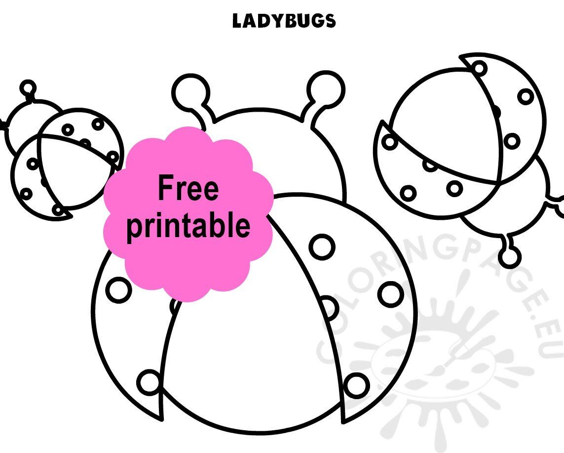 Ladybugs