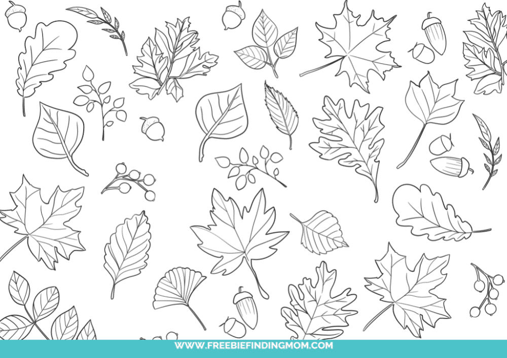 Free printable fall leaves coloring pages