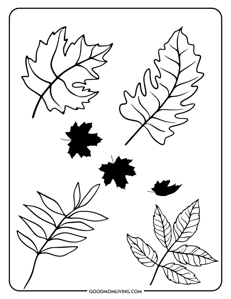 Fall leaves coloring pages free printable for kids