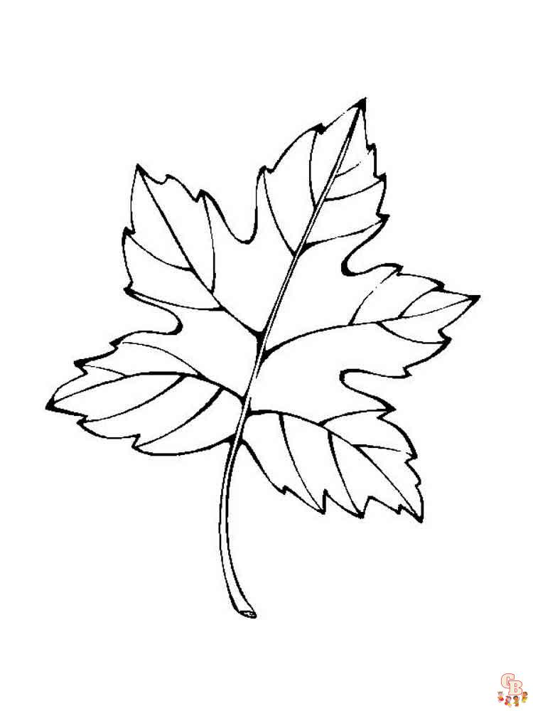 Leaf coloring pages