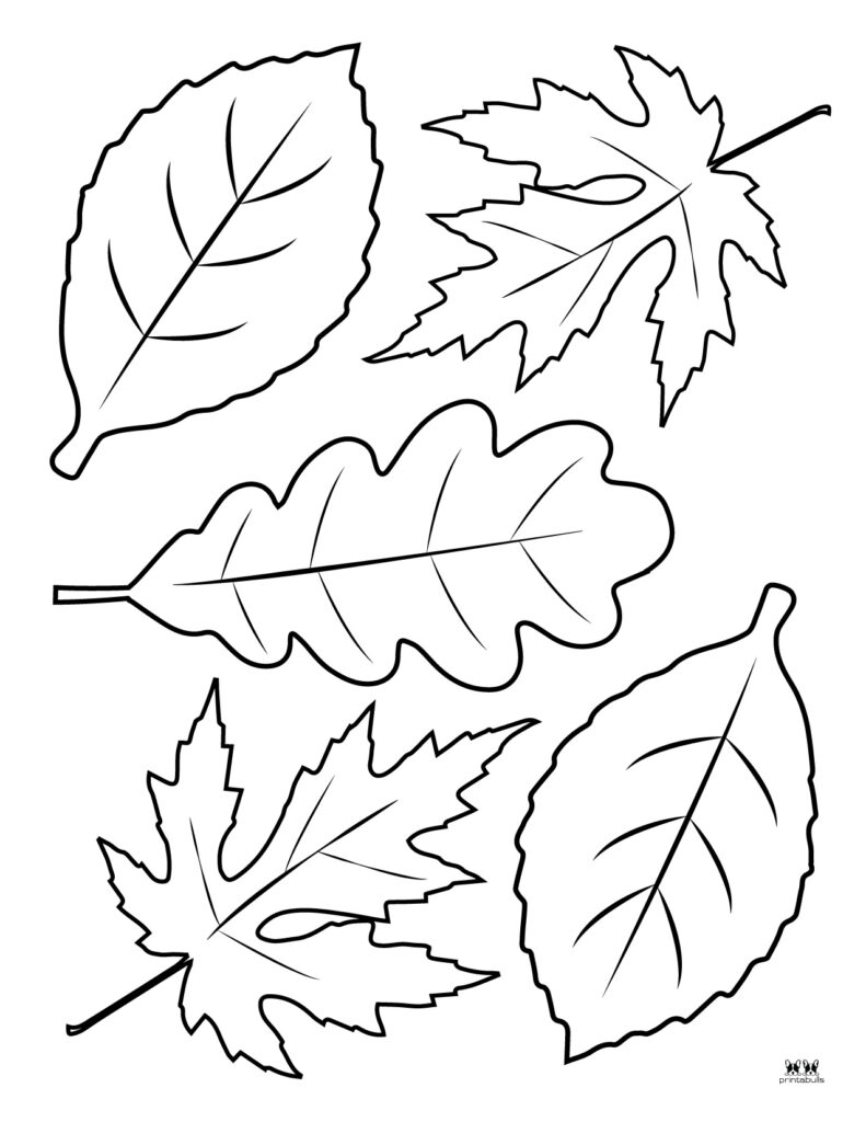 Leaf outlines templates coloring pages