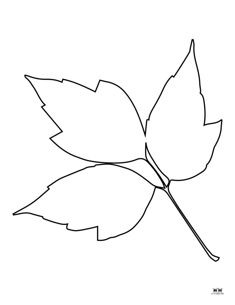 Leaf outlines templates coloring pages