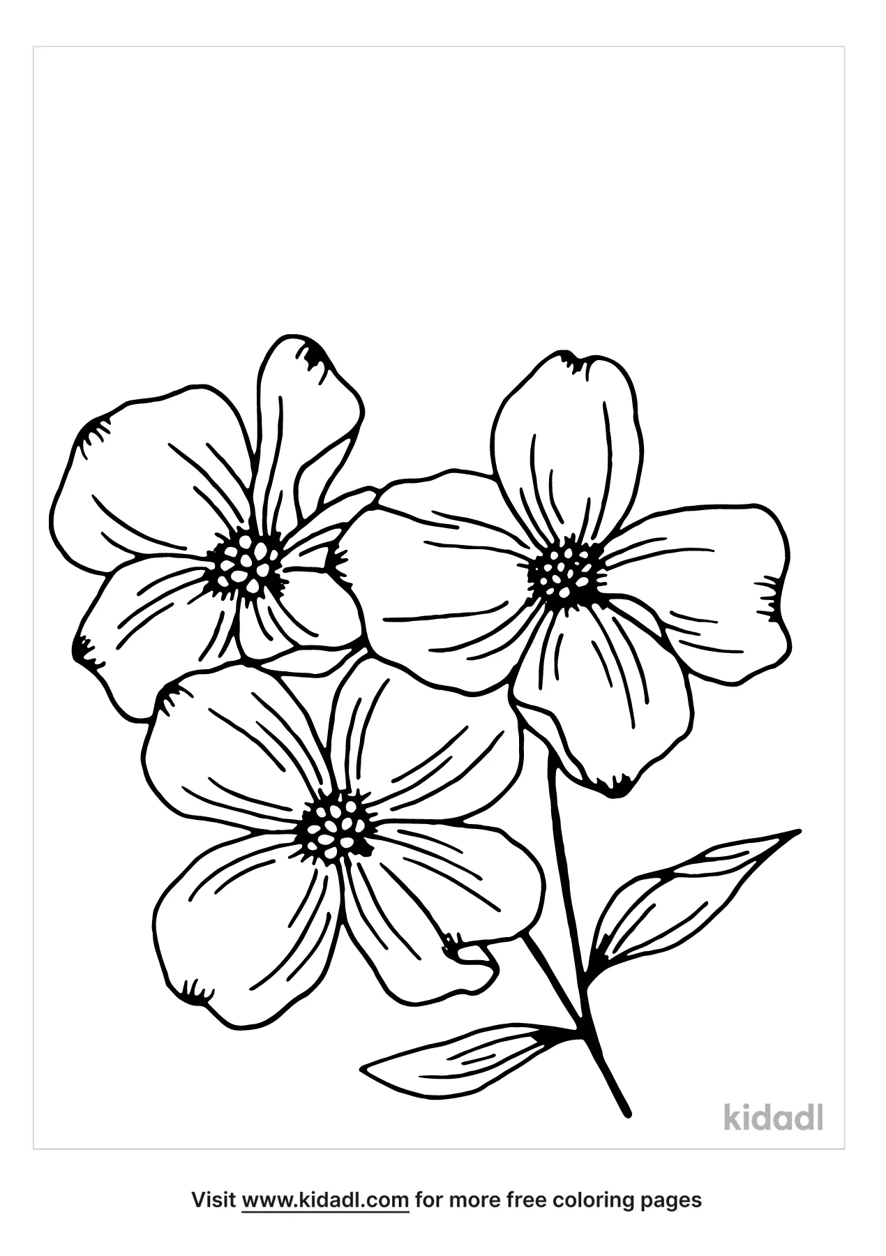 Free dogwood flower coloring page coloring page printables