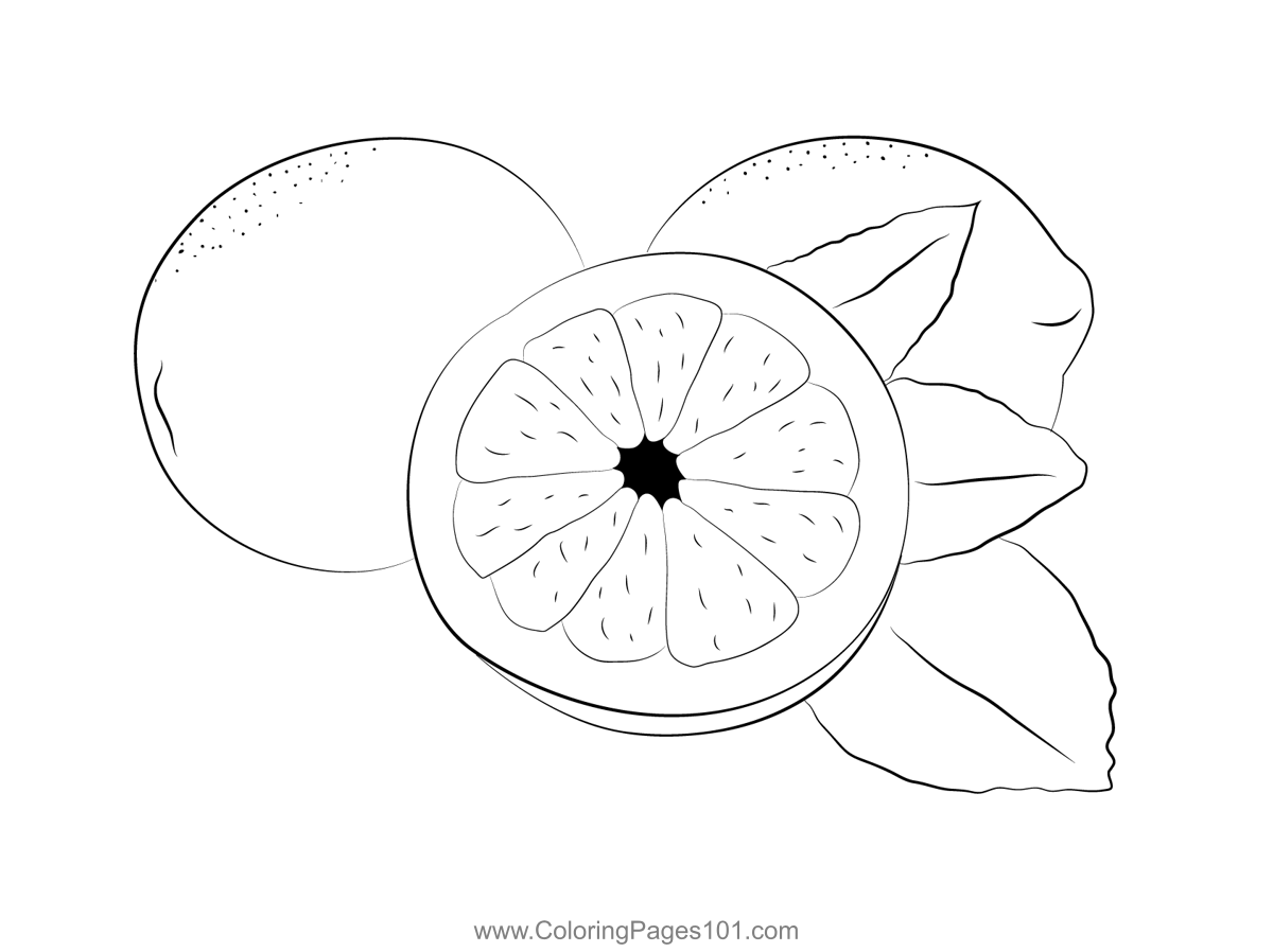 Lemons look coloring page for kids