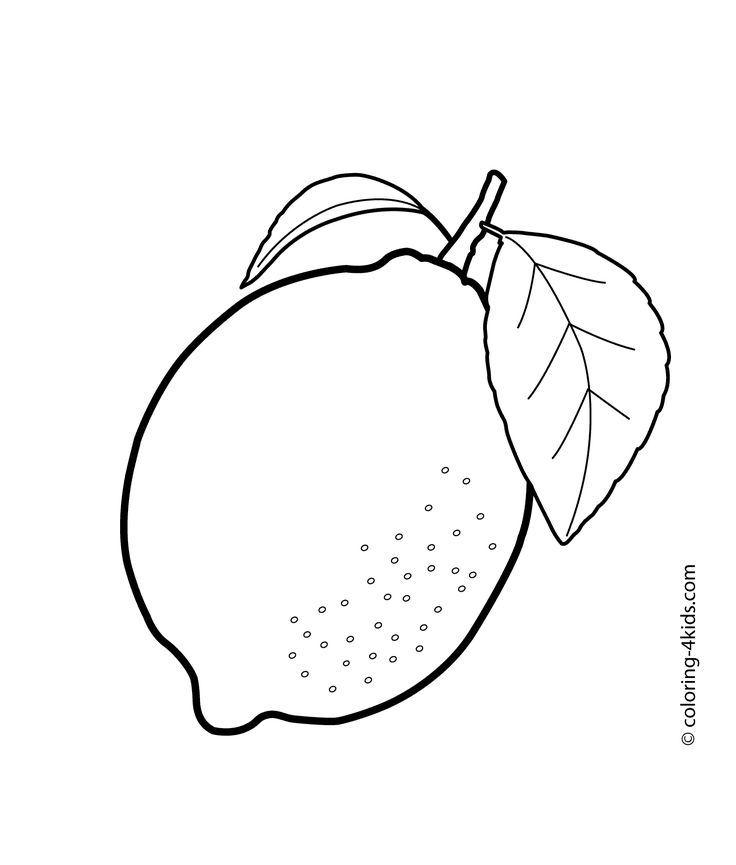 One lemon fruits coloring pages for kids printable free fruit coloring pages coloring pages coloring pages for kids