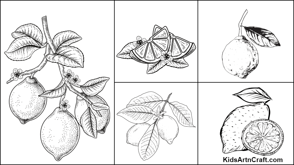 Lemon coloring pages for kids â free printables