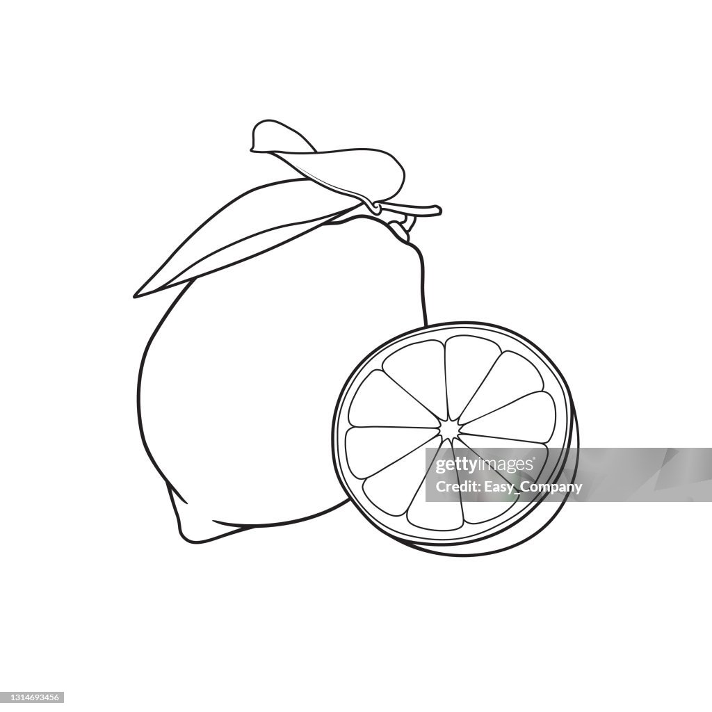 Vector illustration of lemon isolated on white background black and white for coloring organic vegetables and fruits cartoon concepts education and school material kids coloring page printable activity worksheet flash card high