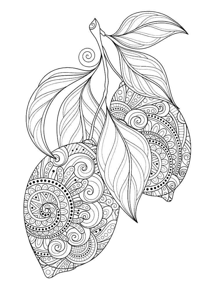 Lemon coloring pages for adults