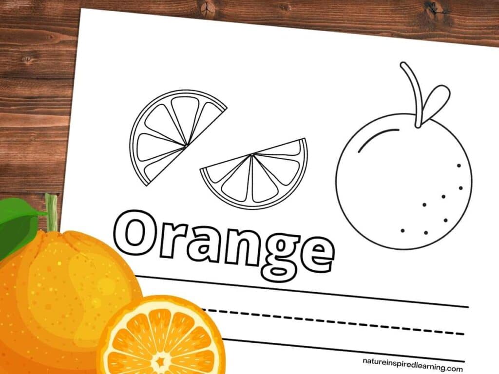 Orange coloring pages and templates