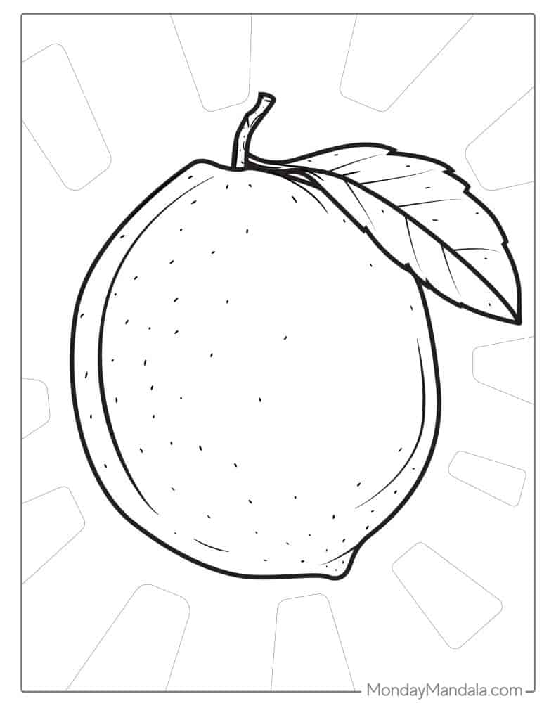 Fruit coloring pages free pdf printables