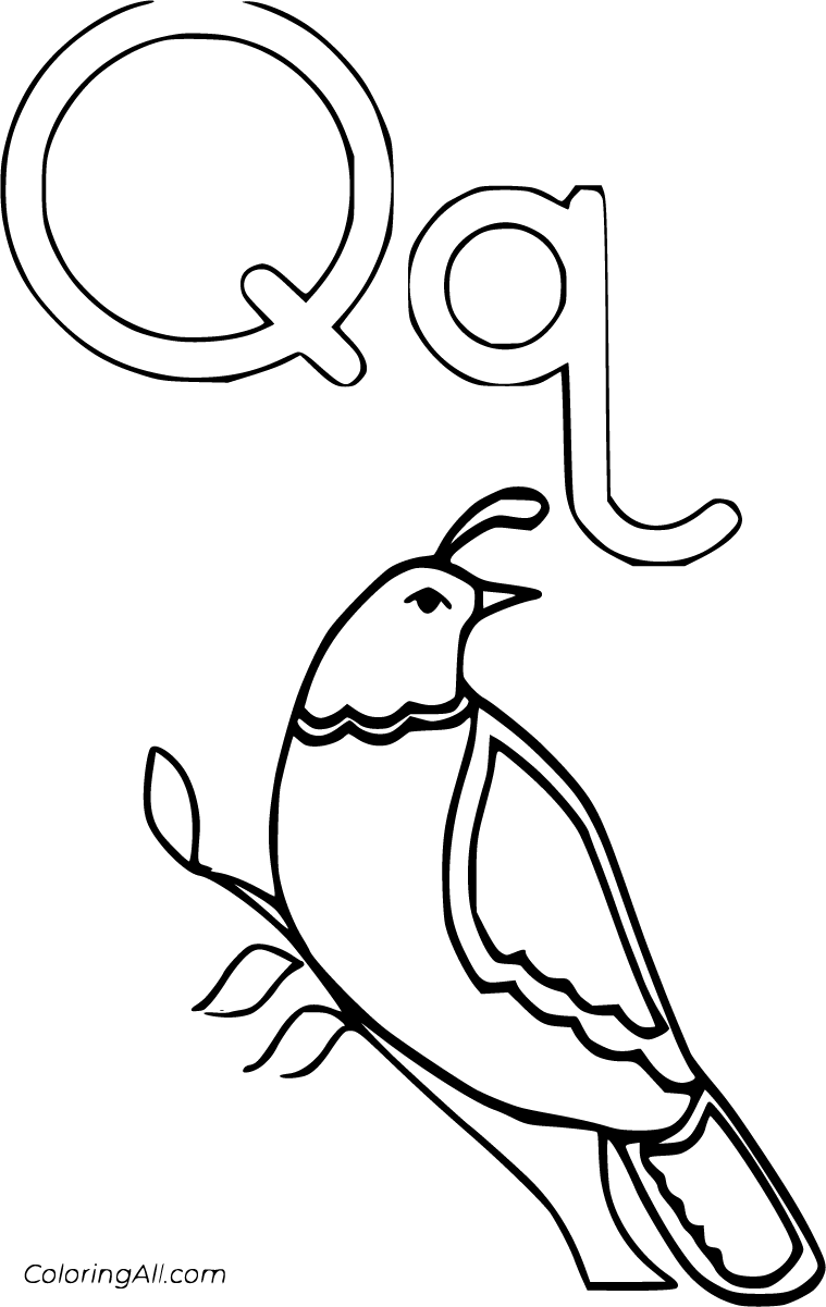 Letter q coloring pages