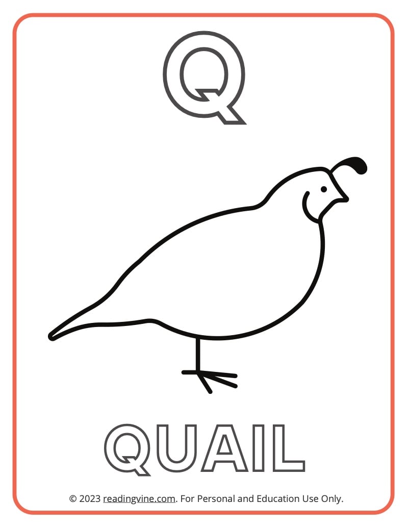 Letter q coloring pages