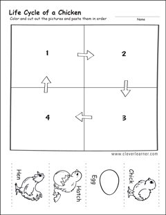 Life cycle worksheets for preschools