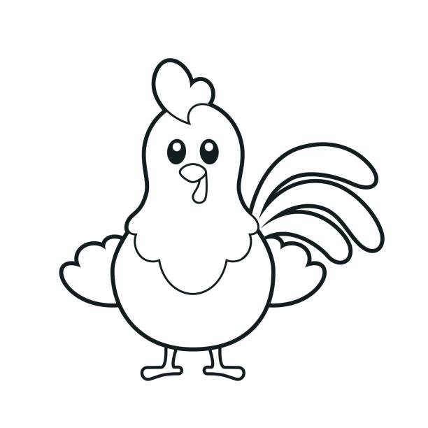 Chicken coloring pages stock illustrations royalty