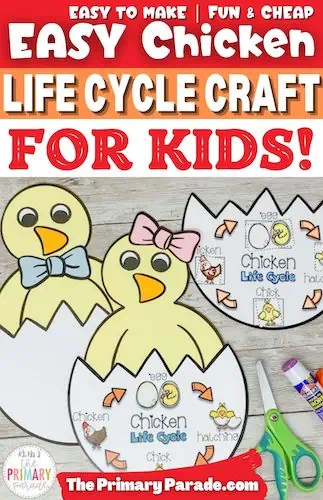 Printable chicken life cycle worksheet