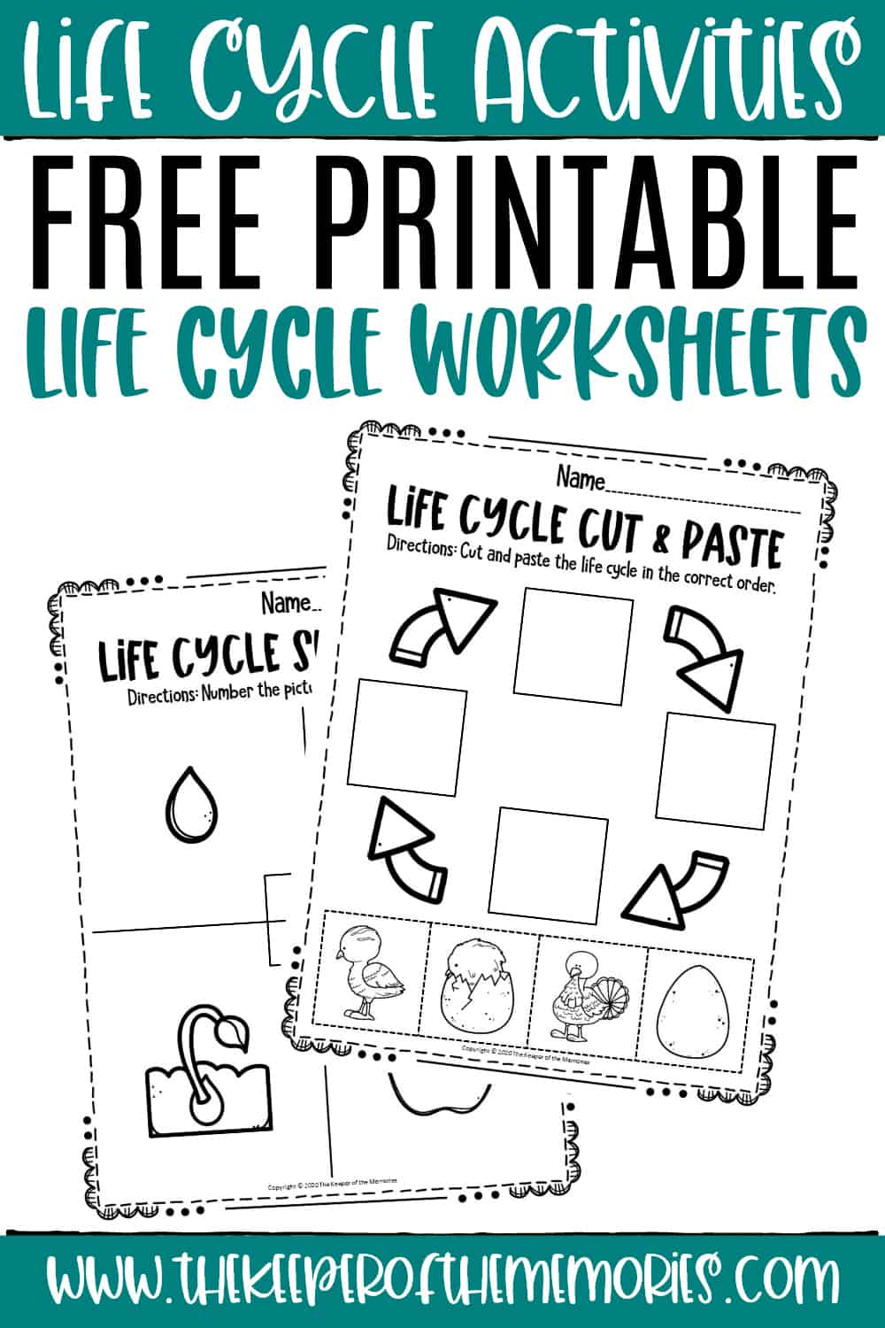 Life cycle worksheets