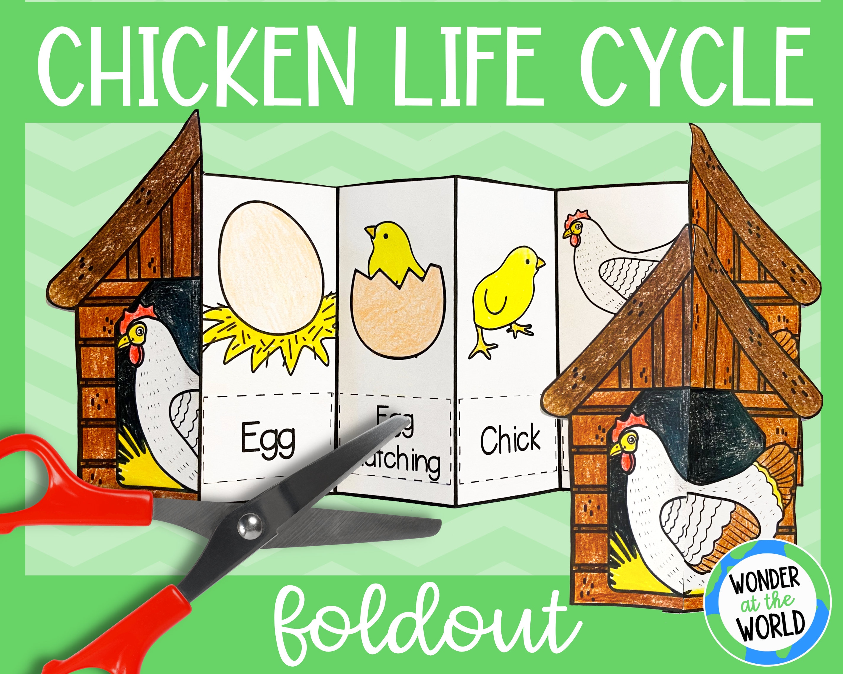 Buy life cycle of a chicken foldable kids craft a and x inch digital download science cut and paste online in india