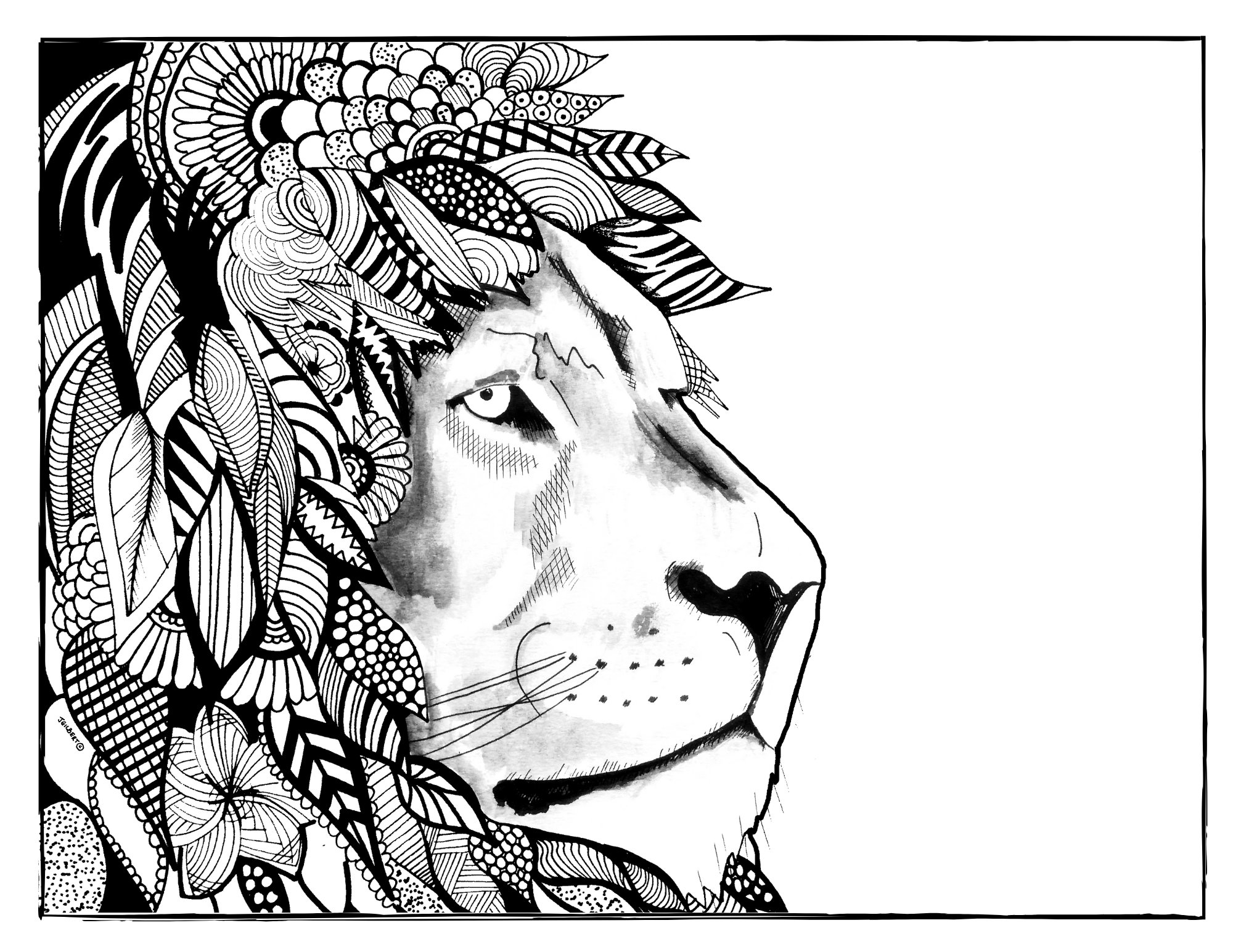 Lion coloring page printable adult coloring page art print download pdf png jpeg instant download instant download