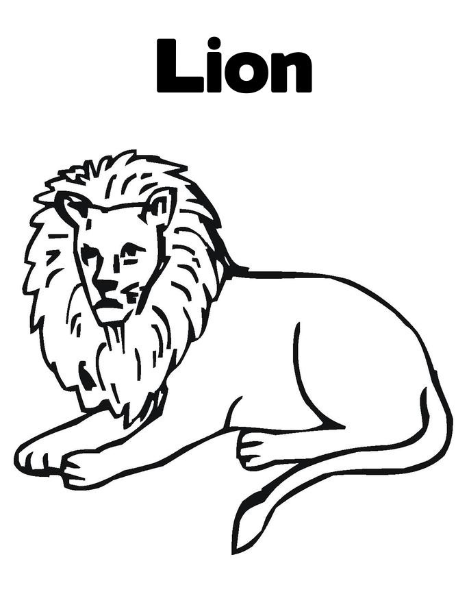 Free printable lion coloring pages for kids